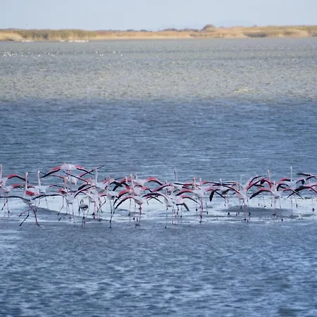 Cinarli Kasri İmroz