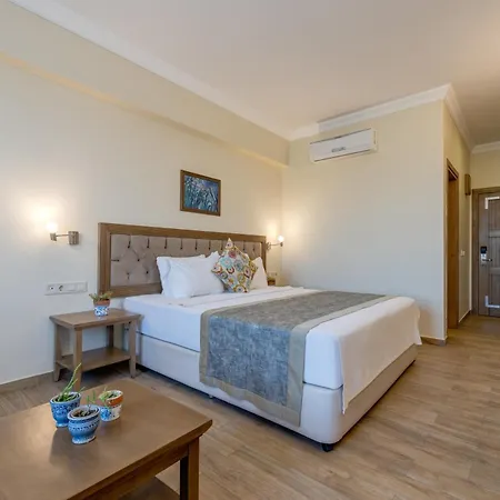 Cinarli Kasri 3*