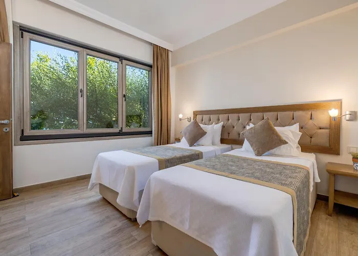 Cinarli Kasri 3* İmroz